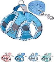 Vista 1 de Petank Arnés para perros pequeños y medianos sin tirones, juego de arnés y correa para cachorro, arnés para perro para caminar, correr y entrenar