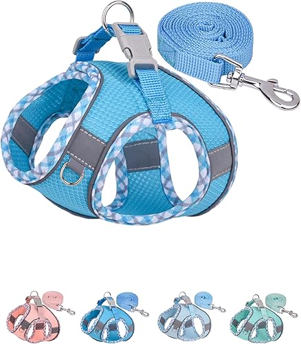 Petank Arnés para perro sin tirones, para perros pequeños, medianos y grandes, juego de arnés y correa para cachorro, arnés para perro fácil de Petank Arnés para perro sin tirones, para perros pequeños, medianos y grandes, juego de arnés y correa para cachorro, arnés para perro fácil de