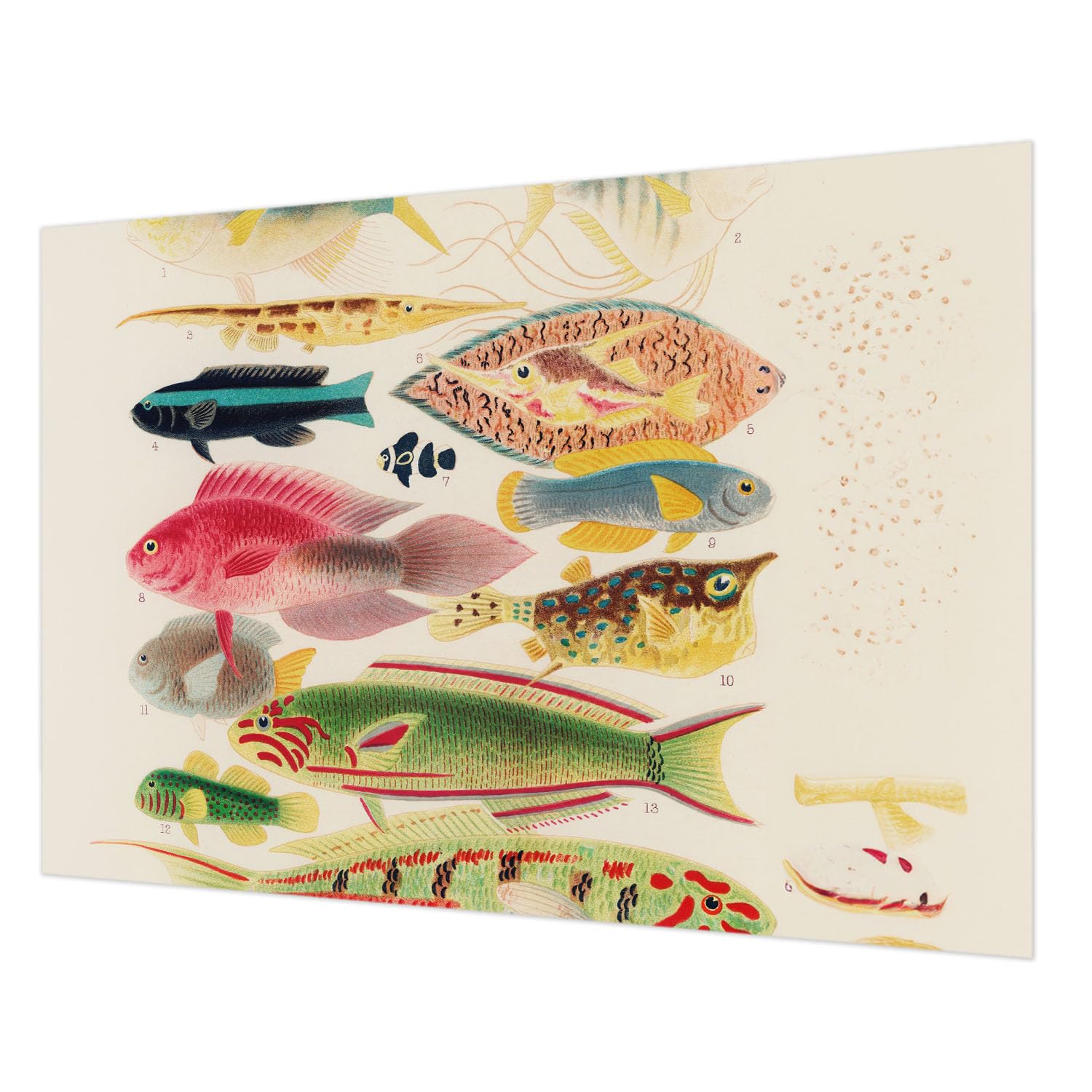Papier peint intissé lavable Tulup 208x146 cm pour pose murale facile