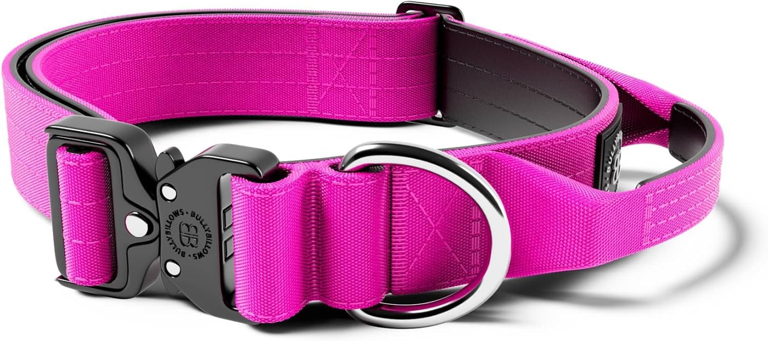 BullyBillows 4cm Combat Collar Triple Stitched Nylon Dog Collar
