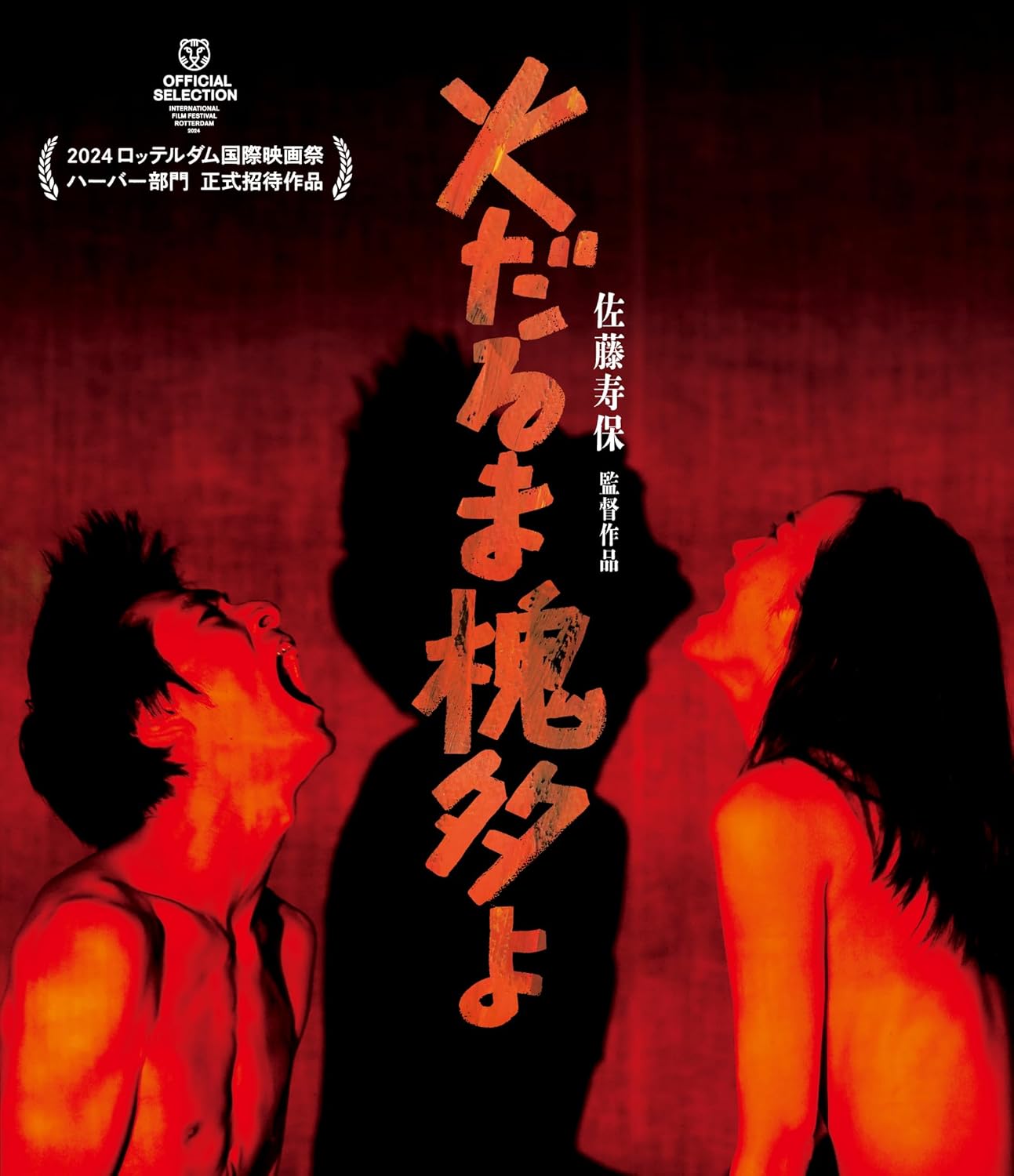 火だるま槐多よ