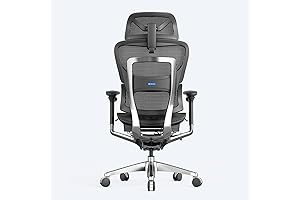 ODINLake Ergo Plus Model A743 High Back Office Chair