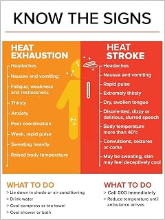 Heat Stroke Symptoms Tin Sign 12x8 Workplace Wall Hanging 12x8 Inch | Essential heat emergency response guide Distressed design for garage workshops Sturdy