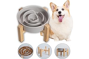 Elevated Slow Feeder Ceramic Dog Bowl: Anti-Gulping Food Dish for Fast Eating Dogs