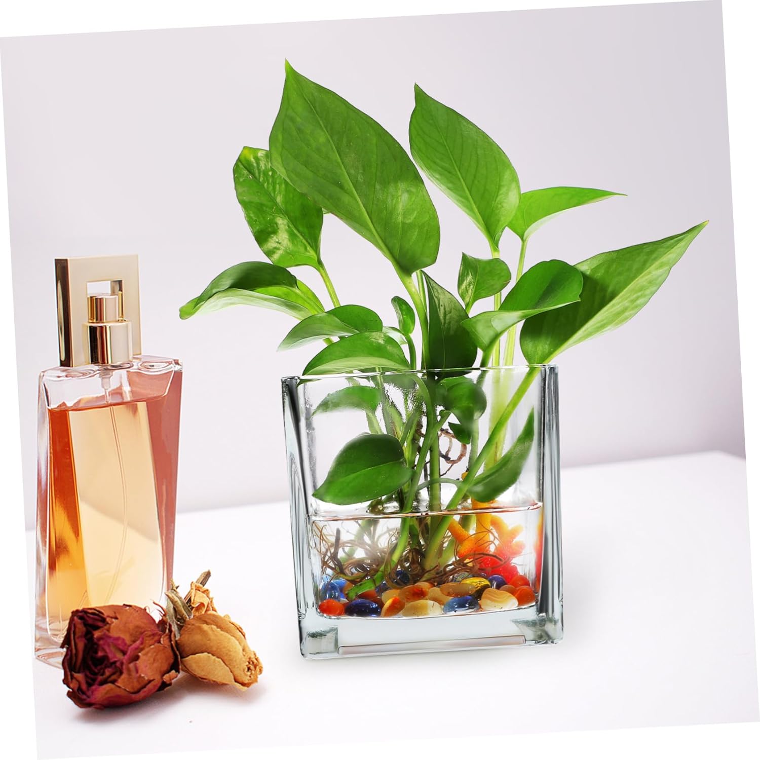 VANZACK 2pcs Square Glass Vase Planter Cube Flower Vase Home Decor Centerpiece