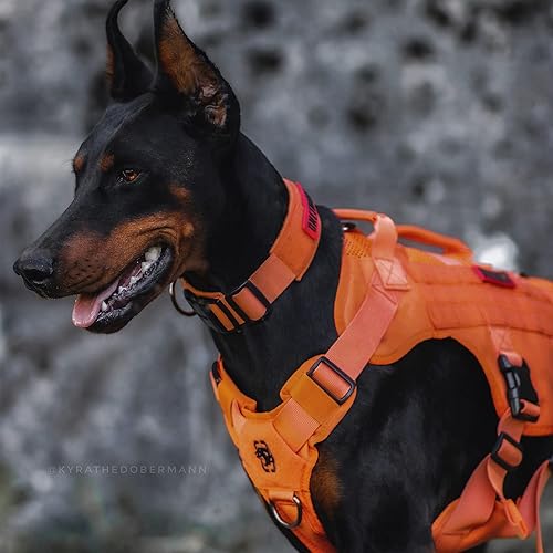 Miniatura 7 de OneTigris - Arnés táctico para perros medianos, diseño de malla transpirable, chaleco de servicio para perros con asa y bolsas Molle, ajustable para