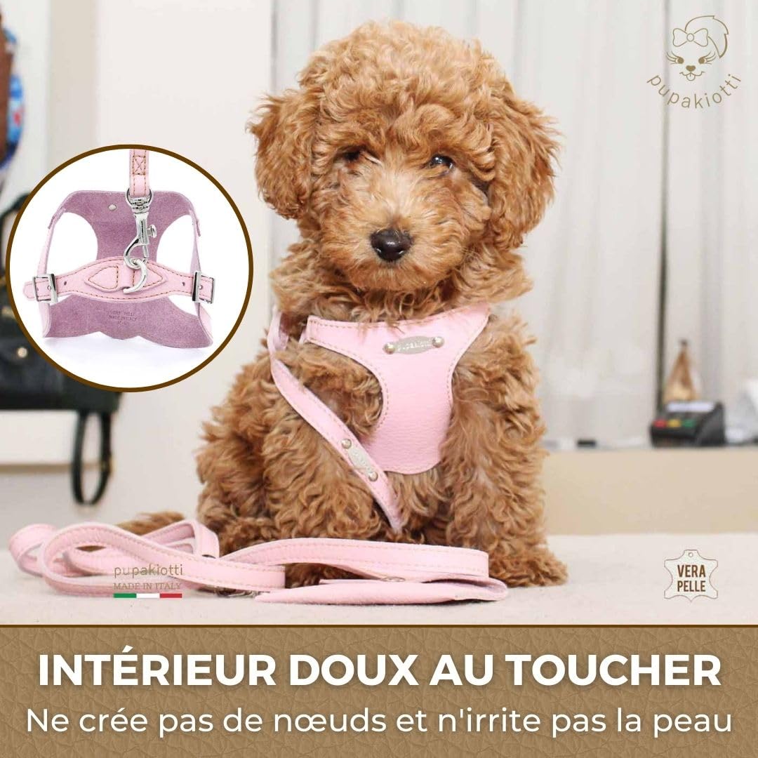 Basic Harnais pour Chien de Taille Petite et Moyenne | Harnais pour Chien Ergonomique et réglable en Cuir véritable fabriqué à la Main en Italie (M-L, Cuir)