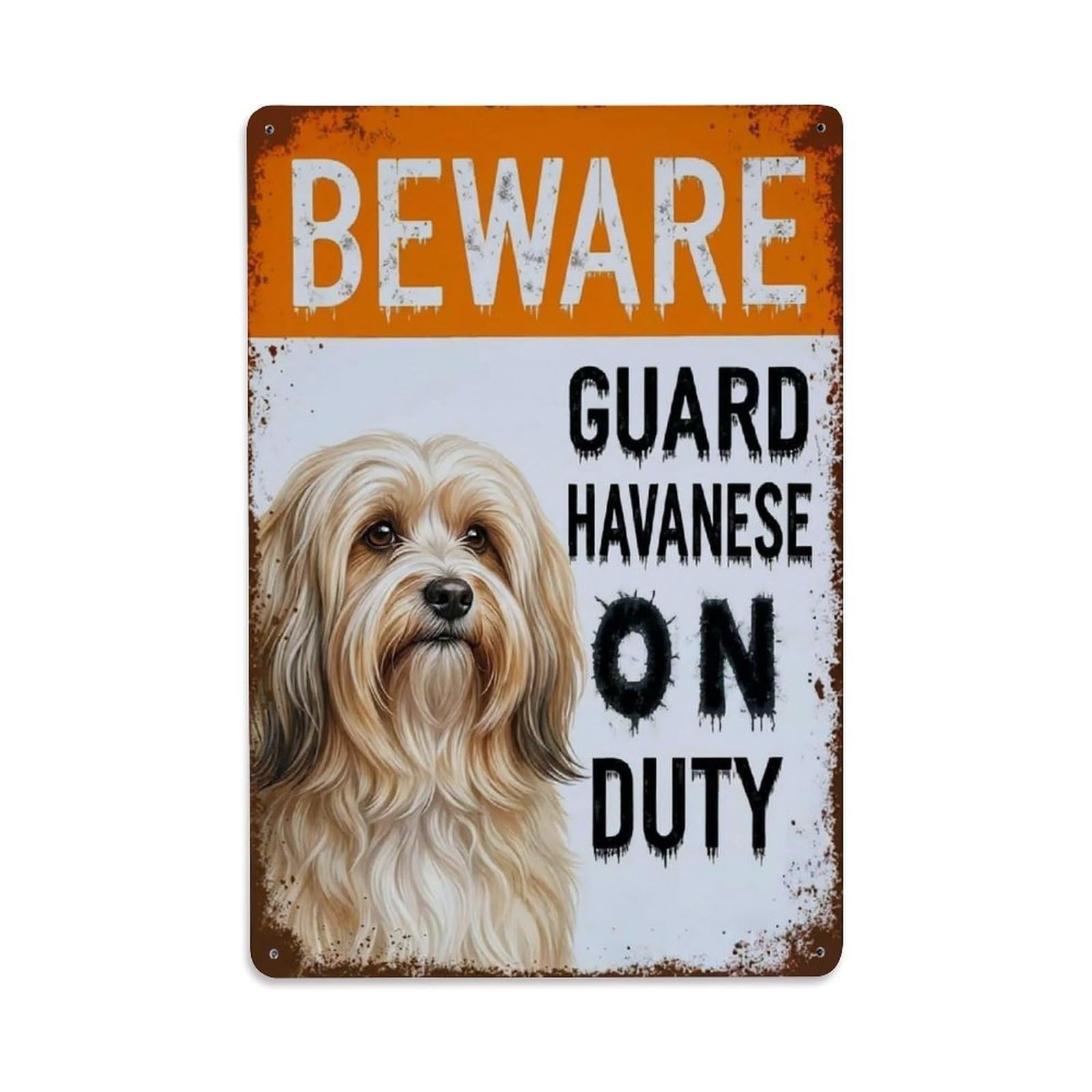 Vintage Funny Havanese Guard Beware of Dog Alcove Metal Tin Sign Plaque Wall Decor for Cafe, Club Bar, Office, Garden Metal Poster 8x12Inch