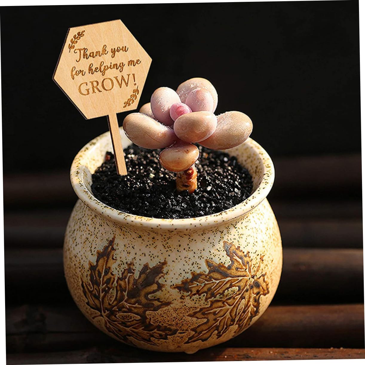 TOYANDONA 5 Sätze Holzetikett Saftige Etiketten Name Gartenmarkierung Outdoor- Kräuterbezeichnungen Pflanzenidentifikationsetikett Gartenpflanzenmarker Holzpflanzenmarker 40 Stück * 5