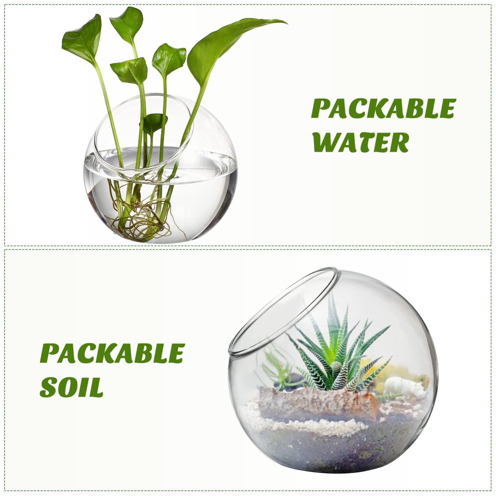 Toddmomy 3 Pcs Verre Clair Air Plante Terrarium Succulent Cactus Plante Vases Terrarium Pot Pot De Bonbons Récipient Floral Bol Incliné pour Fête De Mariage Événement Décor De Bureau À