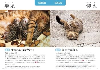 たにゃ たにゃ (@kabukinoraneko) / X