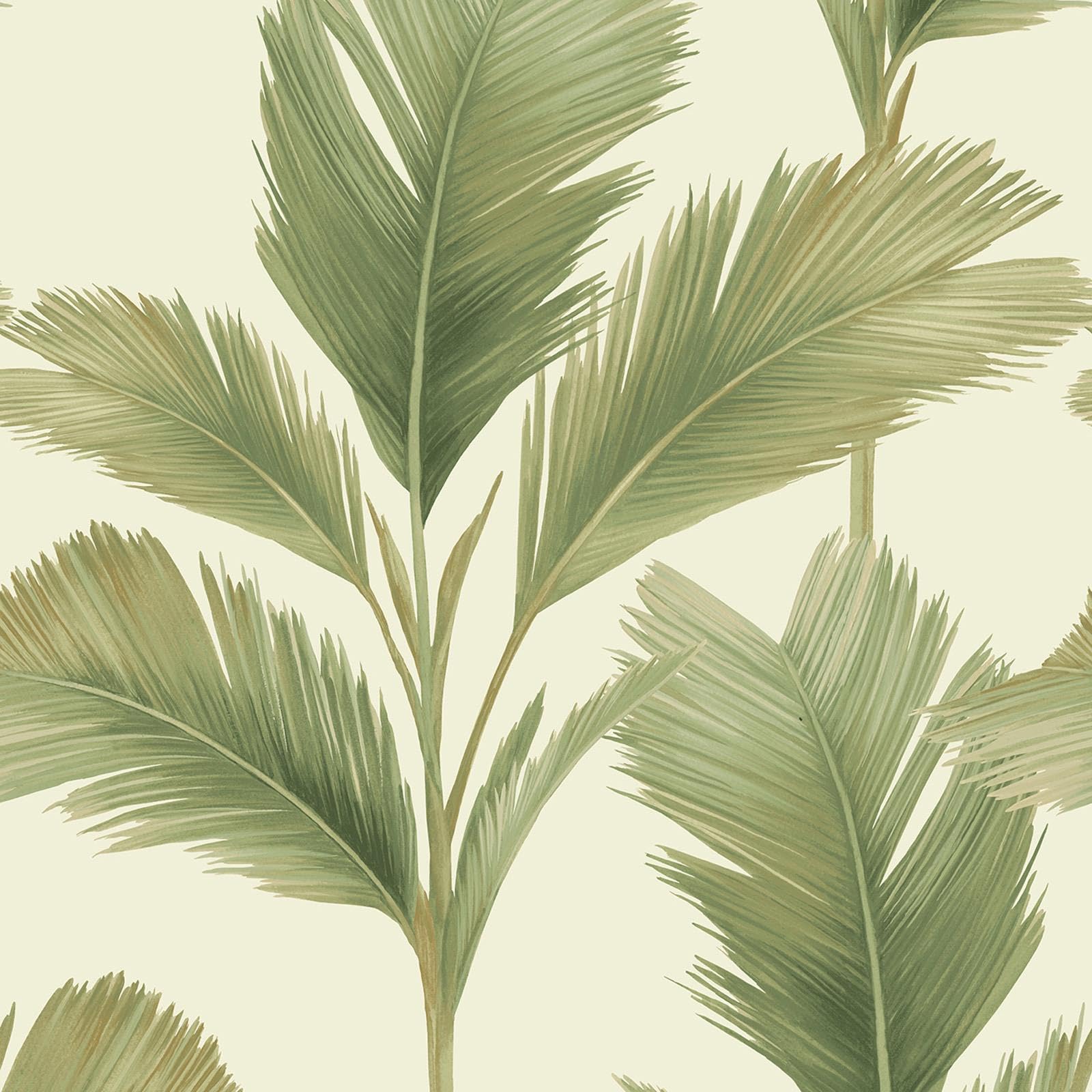 Yöl Sage Cream Kailani Wallpaper - Tropical Botanical Jungle Leaf - Modern Contemporary Stylish Feature Wall