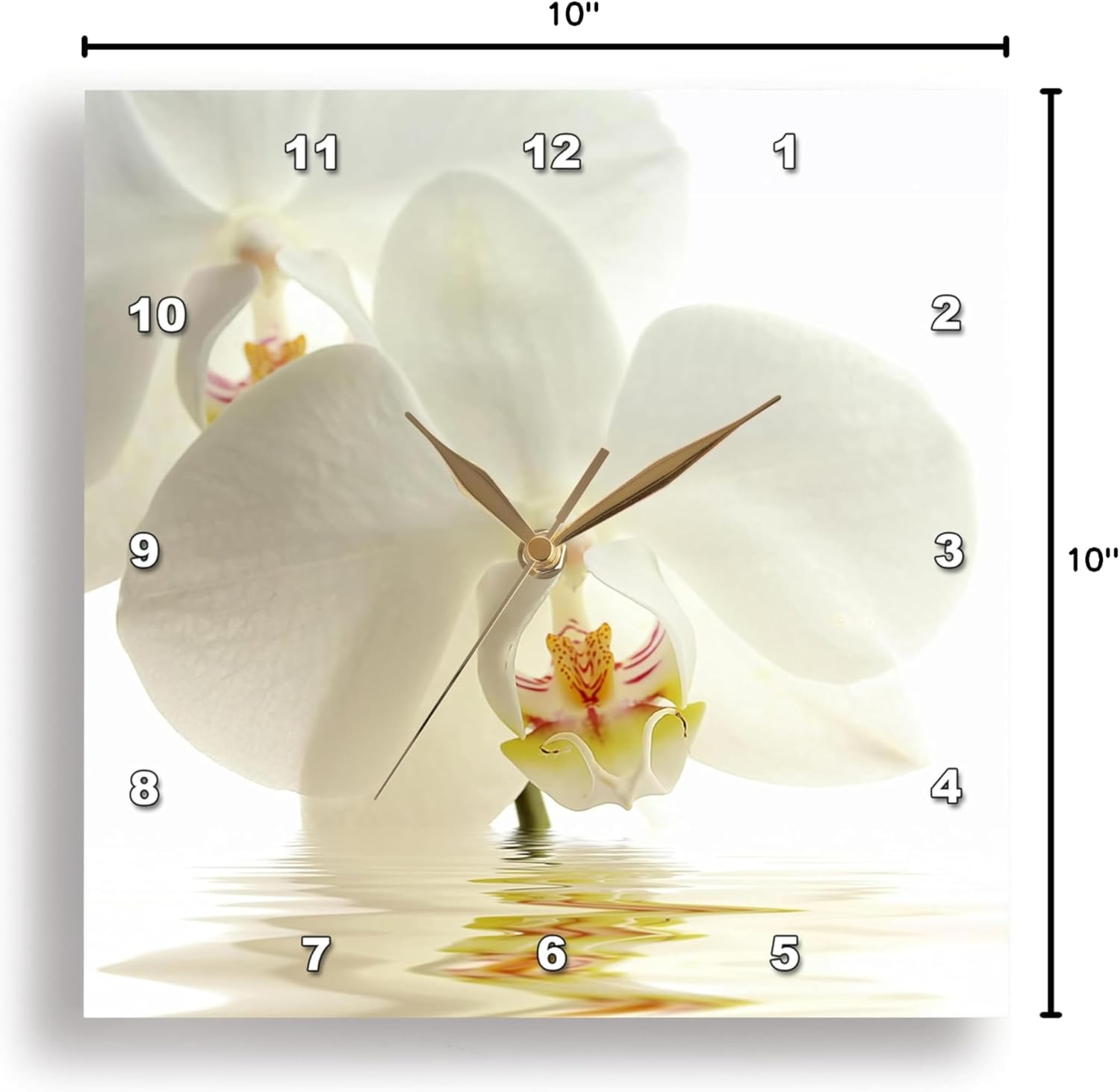 3D Rose Wall Clock Silent - 10 inch - White Orchid Flower in Water Reflection - Photography Flowers
