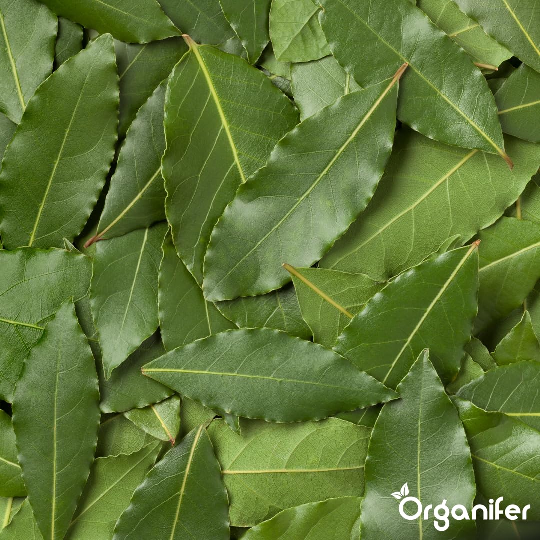 Fertilizante Líquido Para Laurel - 2x1L - NPK 3-4-3 | Fertilizante Para Hojas Sanas Y Raíces Fuertes - Favorece Vitalidad Y Aroma - Organifer