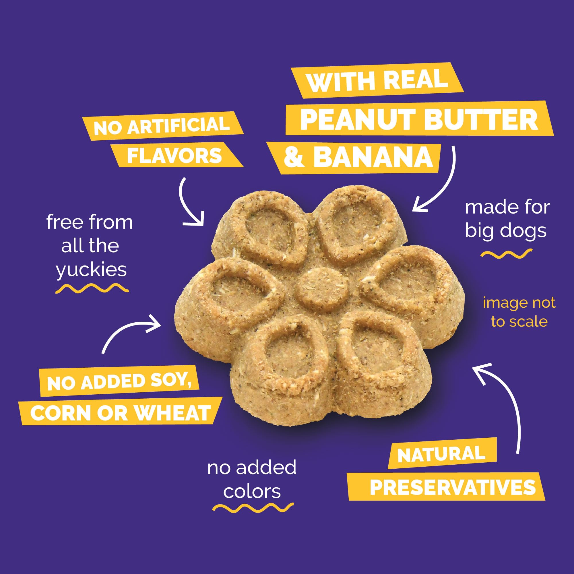 Fruitables Biscotti Per Cani | Biscotti Croccanti Per Cani A Base Di Zucca | Dolcetti Per Cani Sani Pieni Di | Senza Grano, Mais E | Burro Di Arachidi & Banana - 450 g