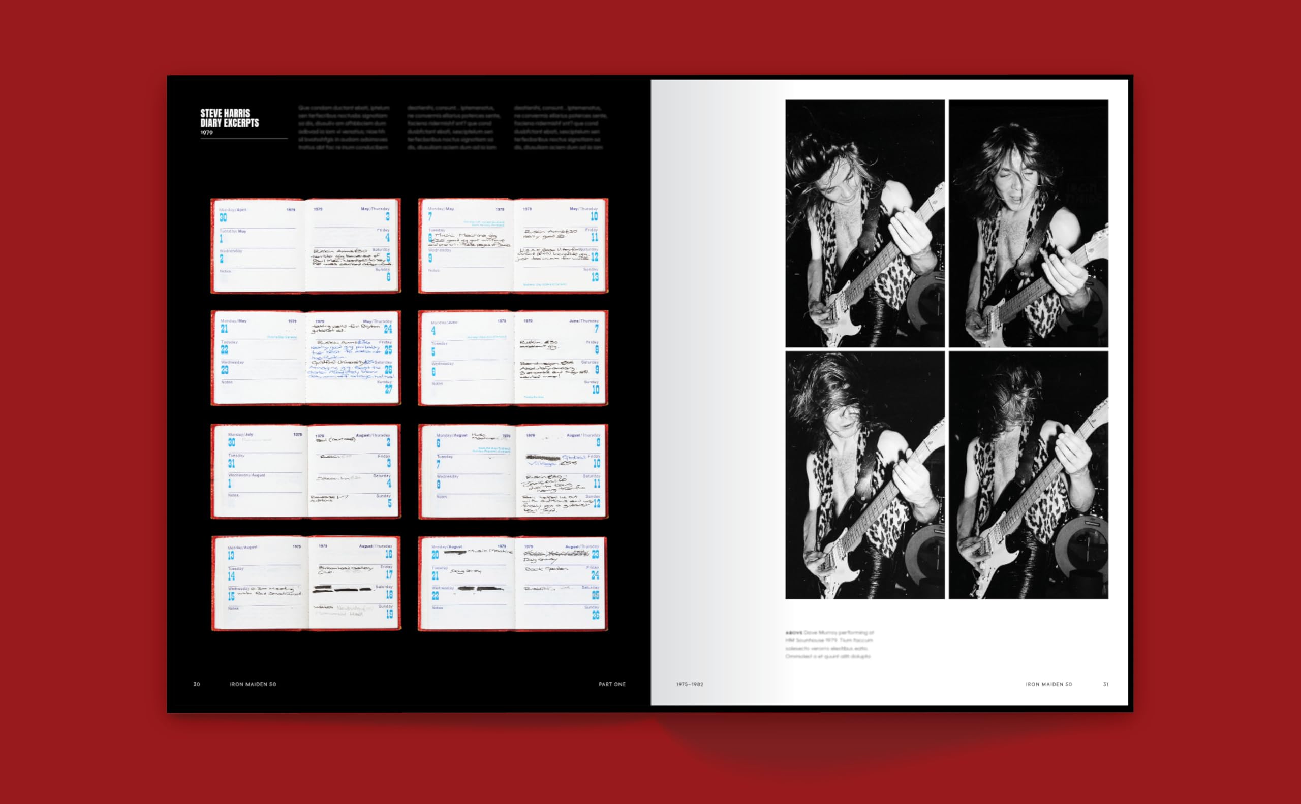 Iron Maiden: Infinite Dreams - Version Française: Le livre officiel
