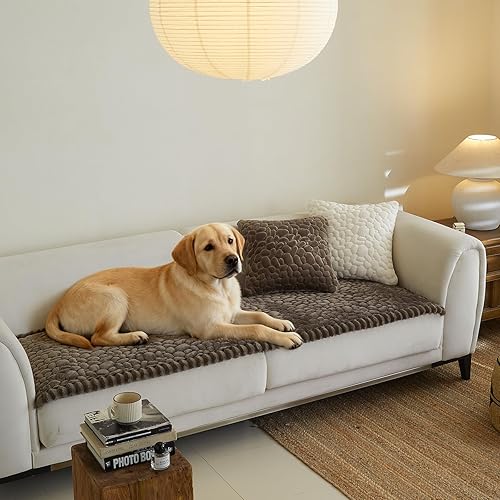 Vista 23 de Fundas de sofá para sofá de 3 cojines, aptas para mascotas, funda de sofá antideslizante lavable Sg-gris claro