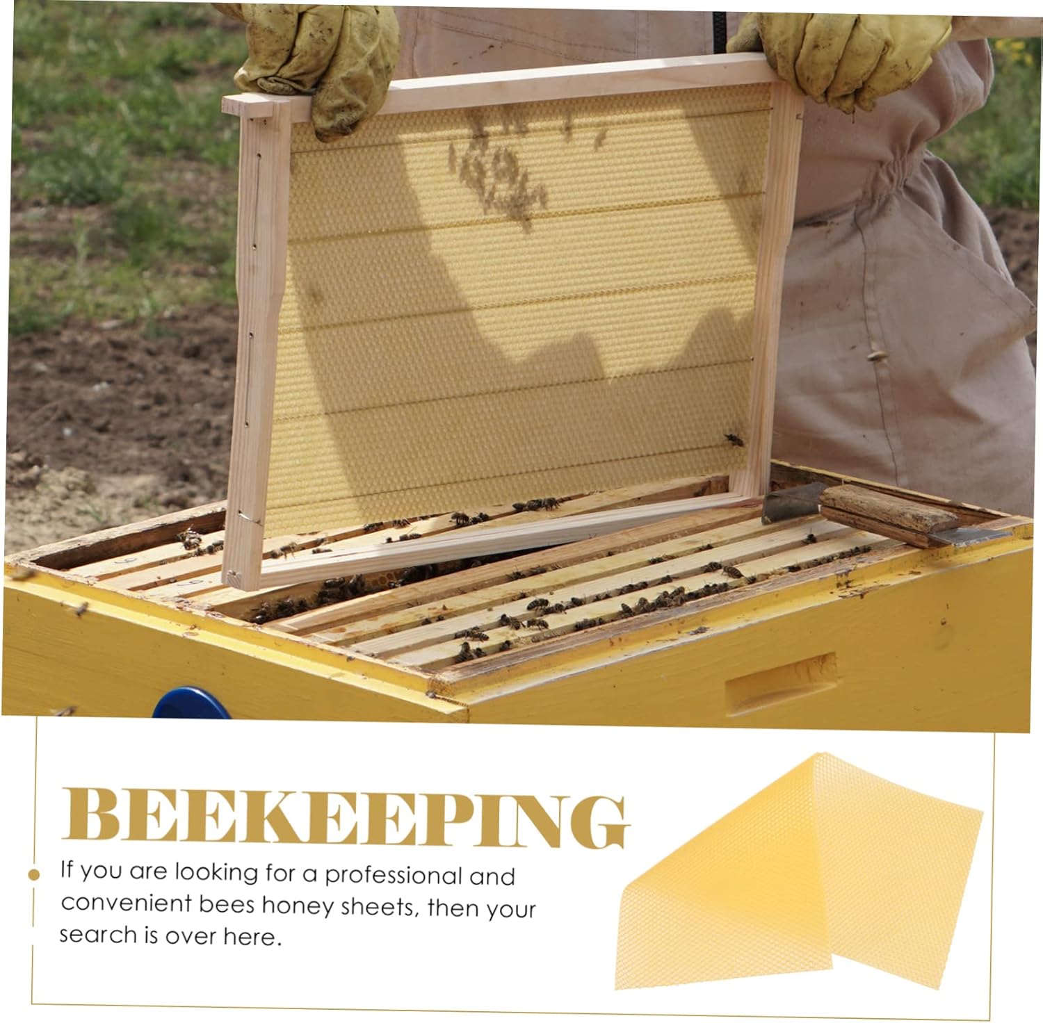 BESPORTBLE 30pcs Bee Honey Sheets Beehive Foundation Sheets for Beekeeping Supplies