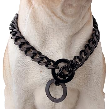 best online dog training