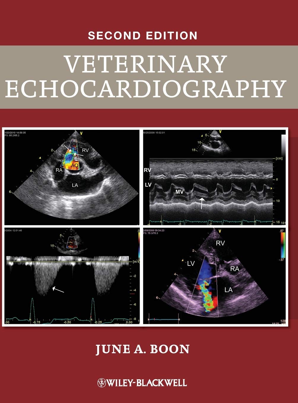 Veterinary Echocardiography by June A. Boon - 9780813823850