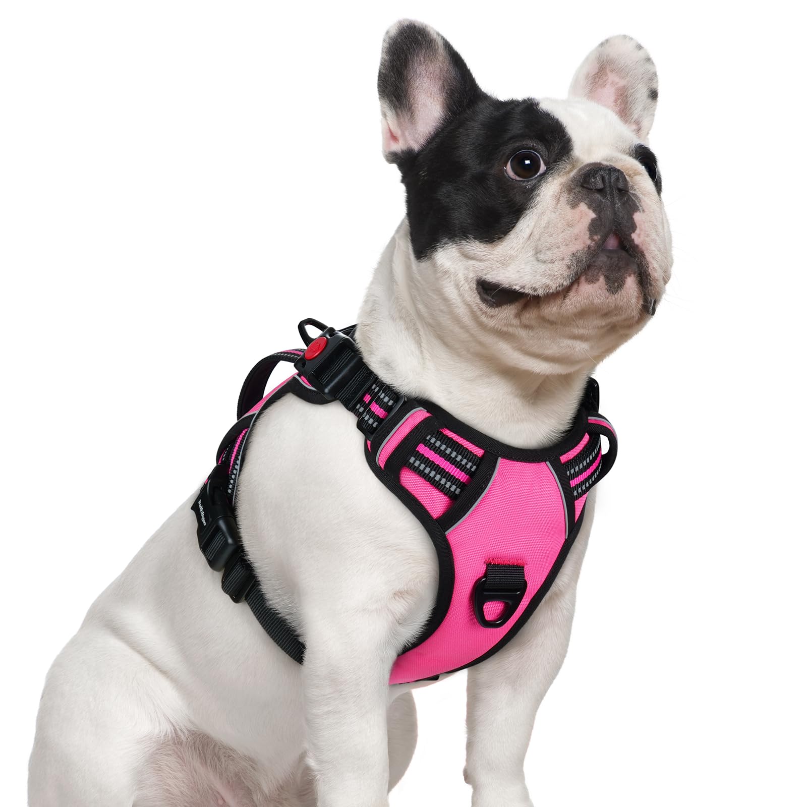 rabbitgoo Dog Harness Small Dog, 3-Buckle No Pull Vest with Vertical Handle