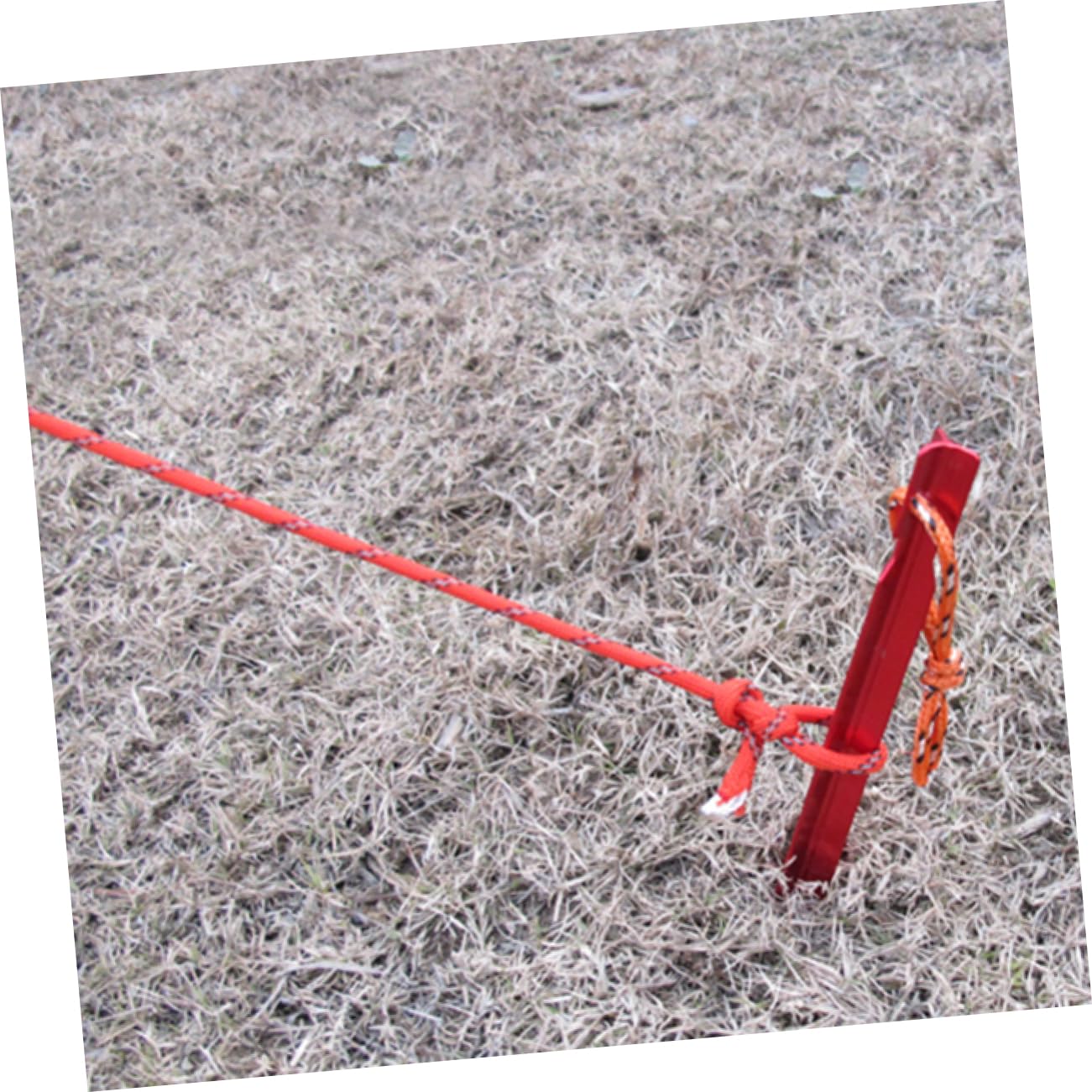 Amazon.co.jp: HANABASS 10個アルミ製字型テントペグ レッド 雪砂地