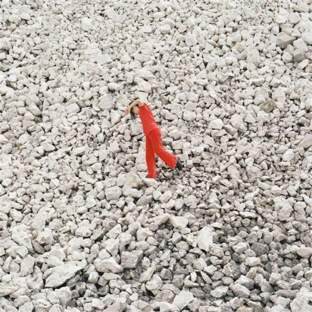 L'USO E GLI ATTRIBUTI DEL CUORE [VINYL]