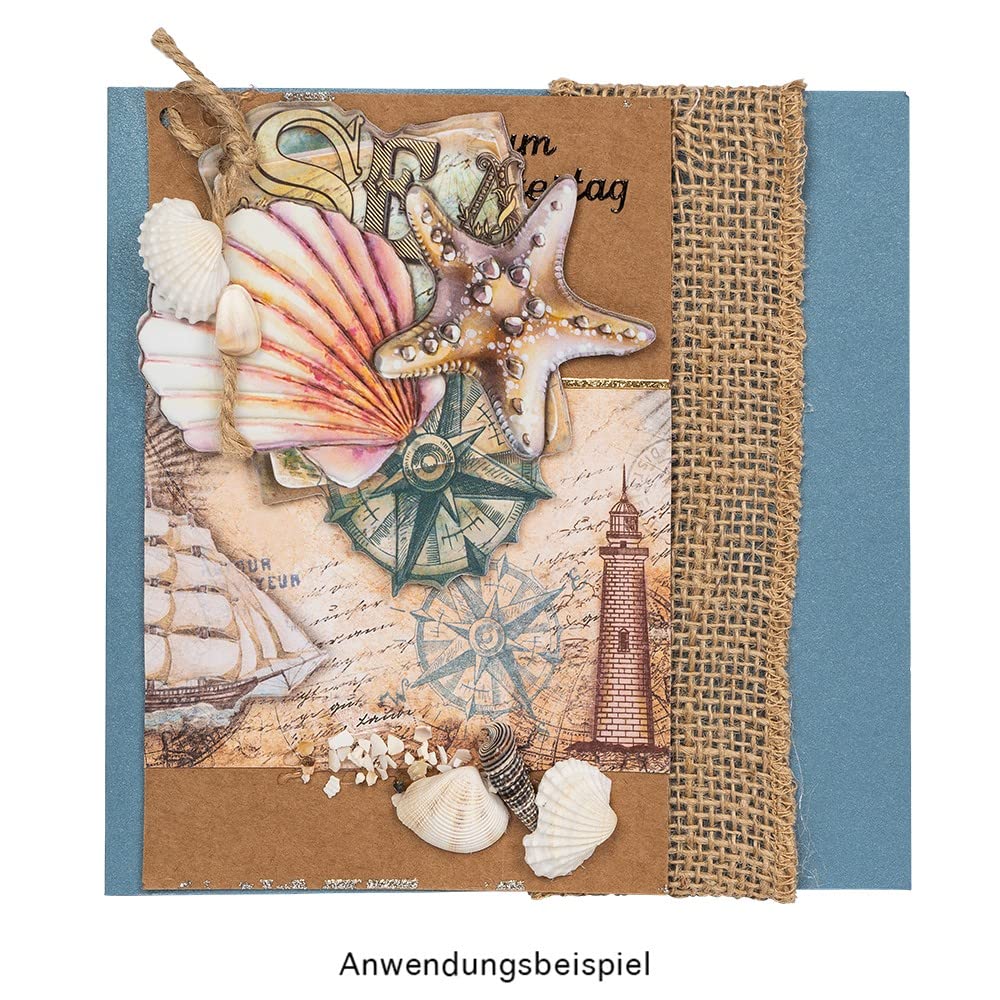 ideen mit herz Potpourri | Conchiglie | 450 g | Naturale | Vari tipi di conchiglie