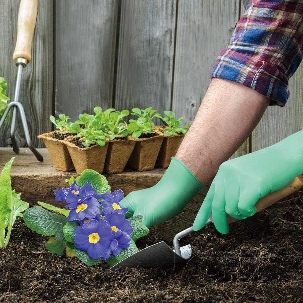 Vinyl Disposable Gloves, Free of Latex & Powder, Medium Weight 4 mil, Green, Housework, Cleaning