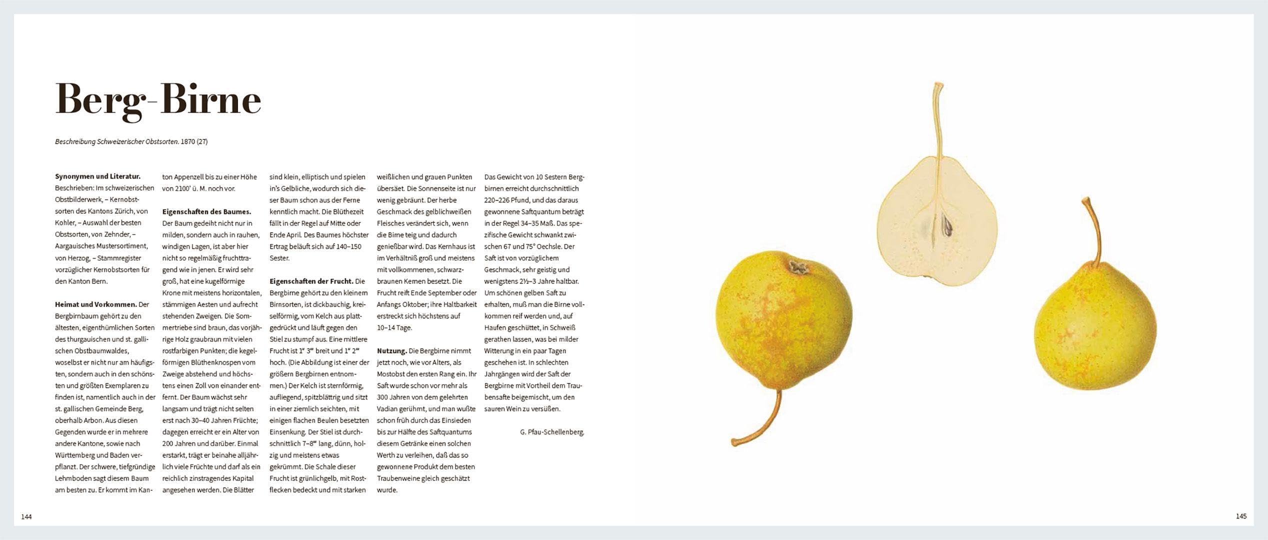 Von edlem, süßweinartigem Zuckergeschmacke: Historische Obstsorten in kunstvollen Illustrationen