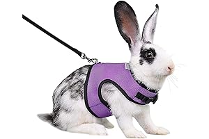 Niteangel Bunny Harness and Leash Set for Small Rabbits (Medium, Purple)