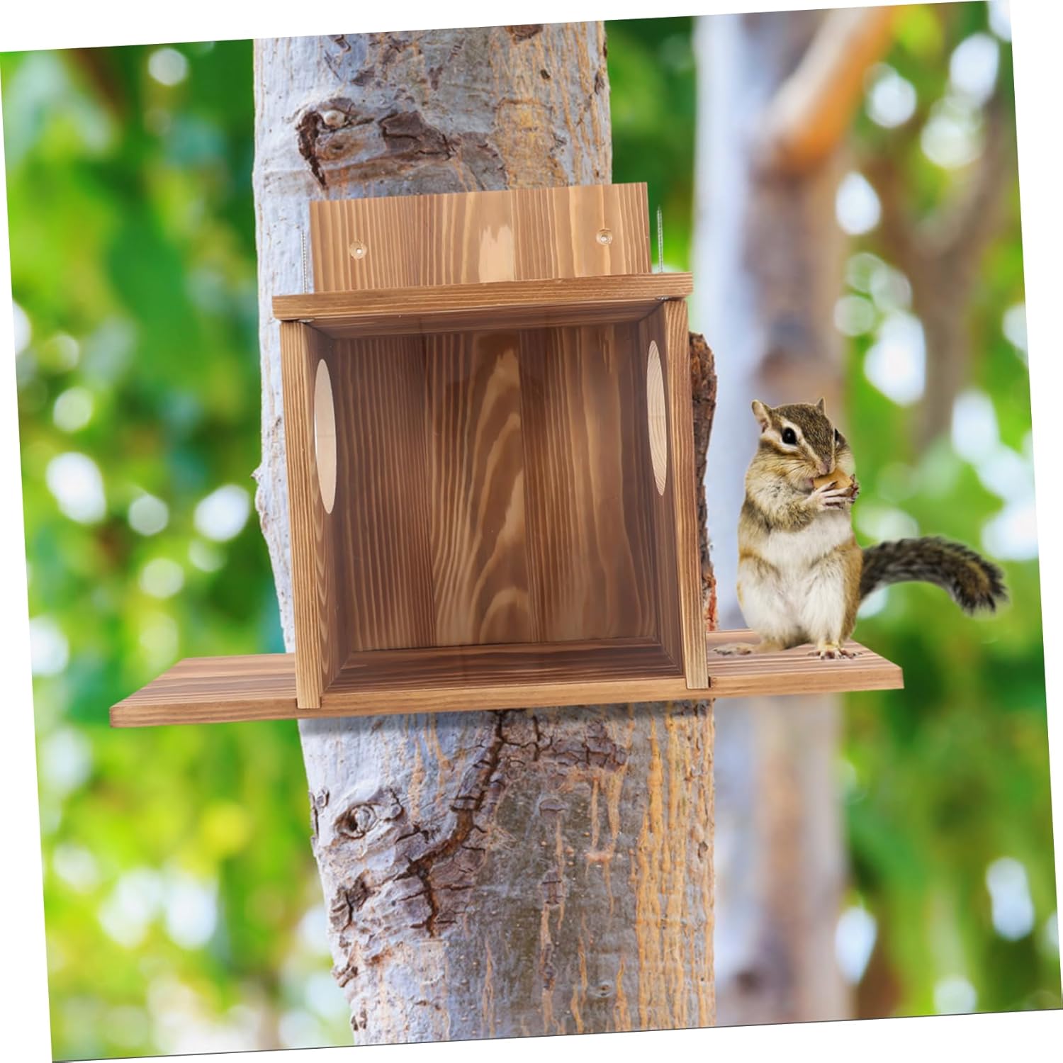 Outdoor Squirrel Feeder Storage Holder for Nuts and Corn Attractive Design to Attract Wildlife Your Garden Hanging Feeding Station for Squirrels and Birds