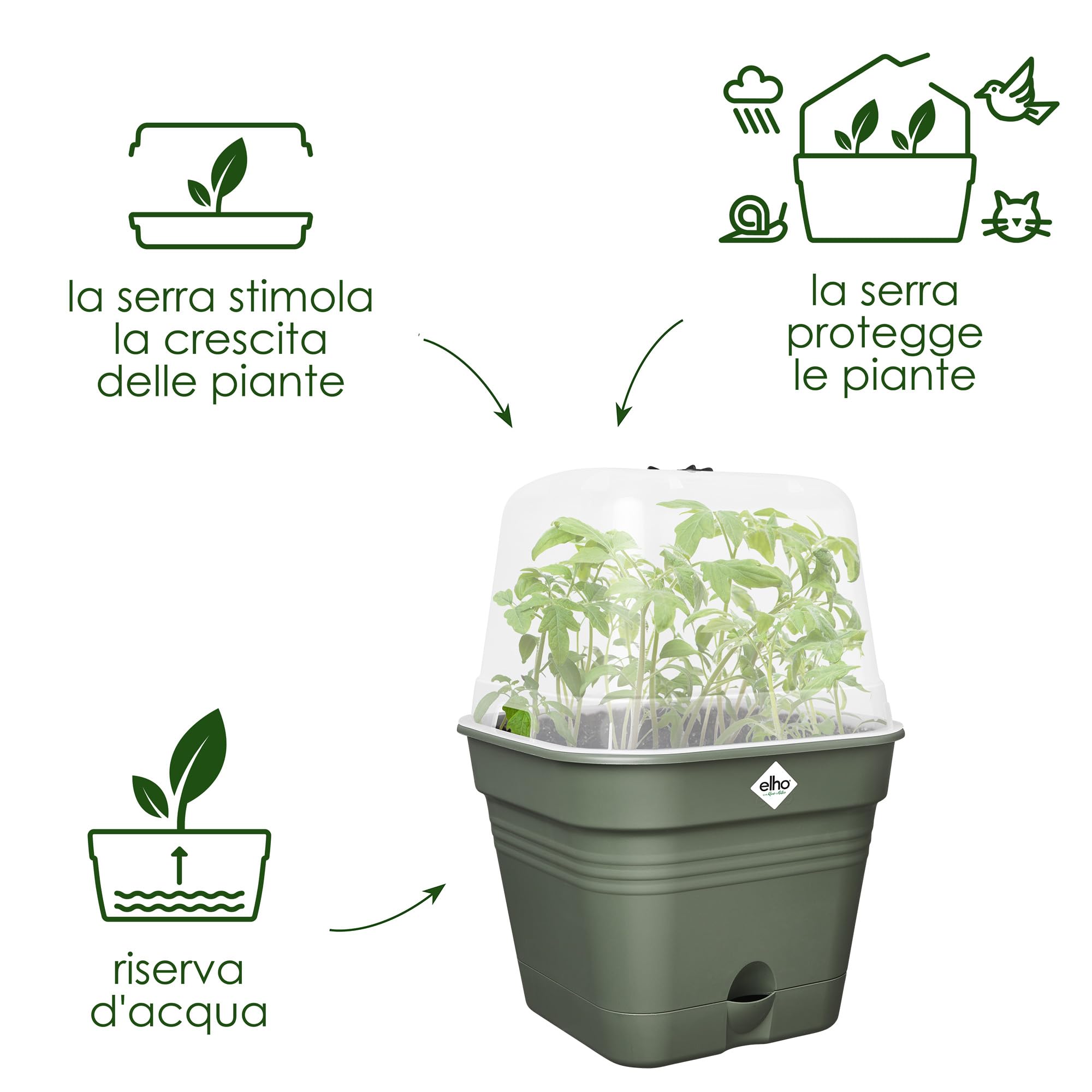 Elho Green Basics Growpot Square Allin1 15 - Vasetti per Piantine - Ø 15.0 x H 12.1 cm - Leaf Green