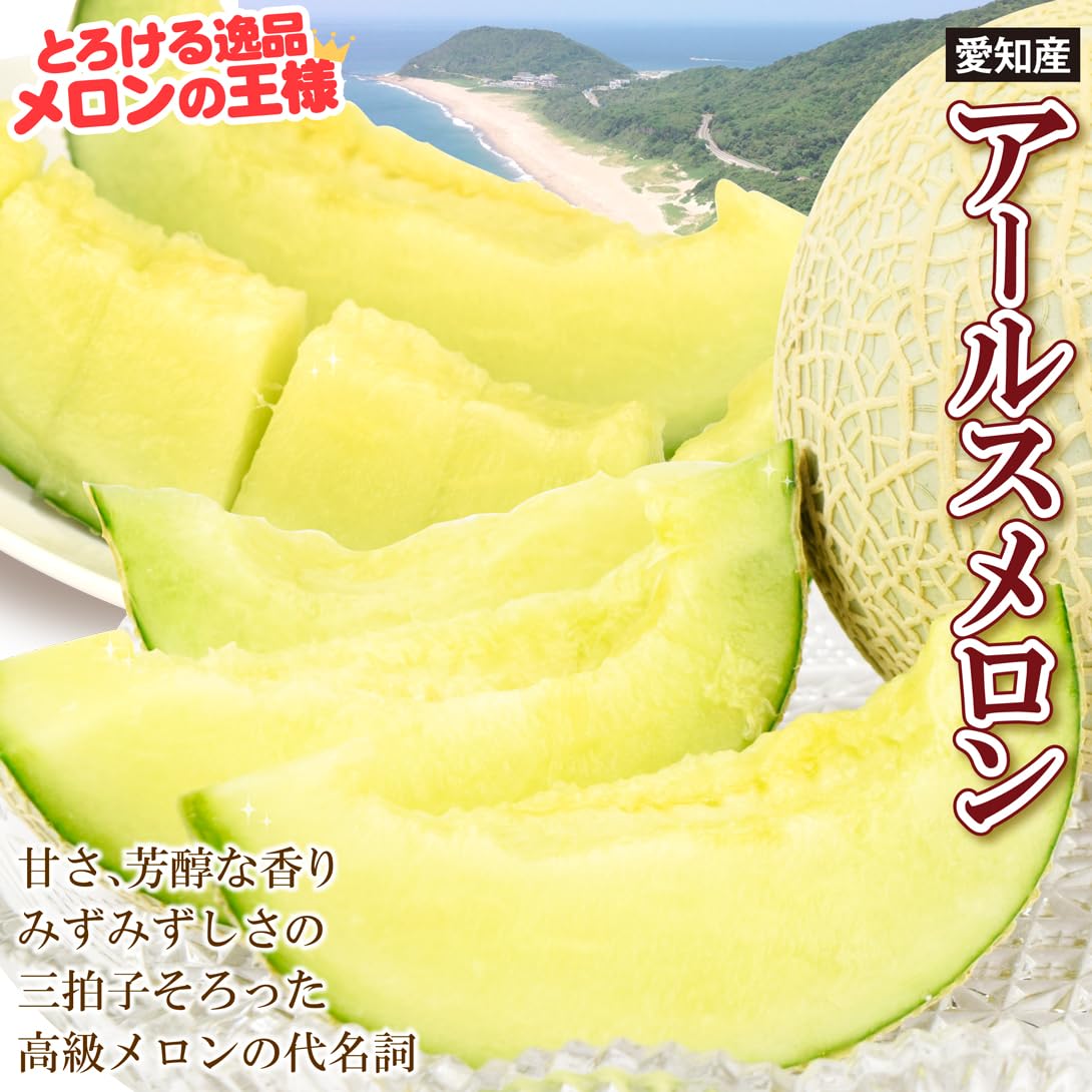 Amazon.co.jp: メロン 愛知産 アールスメロン 6玉（約8kg）1箱 ご家庭