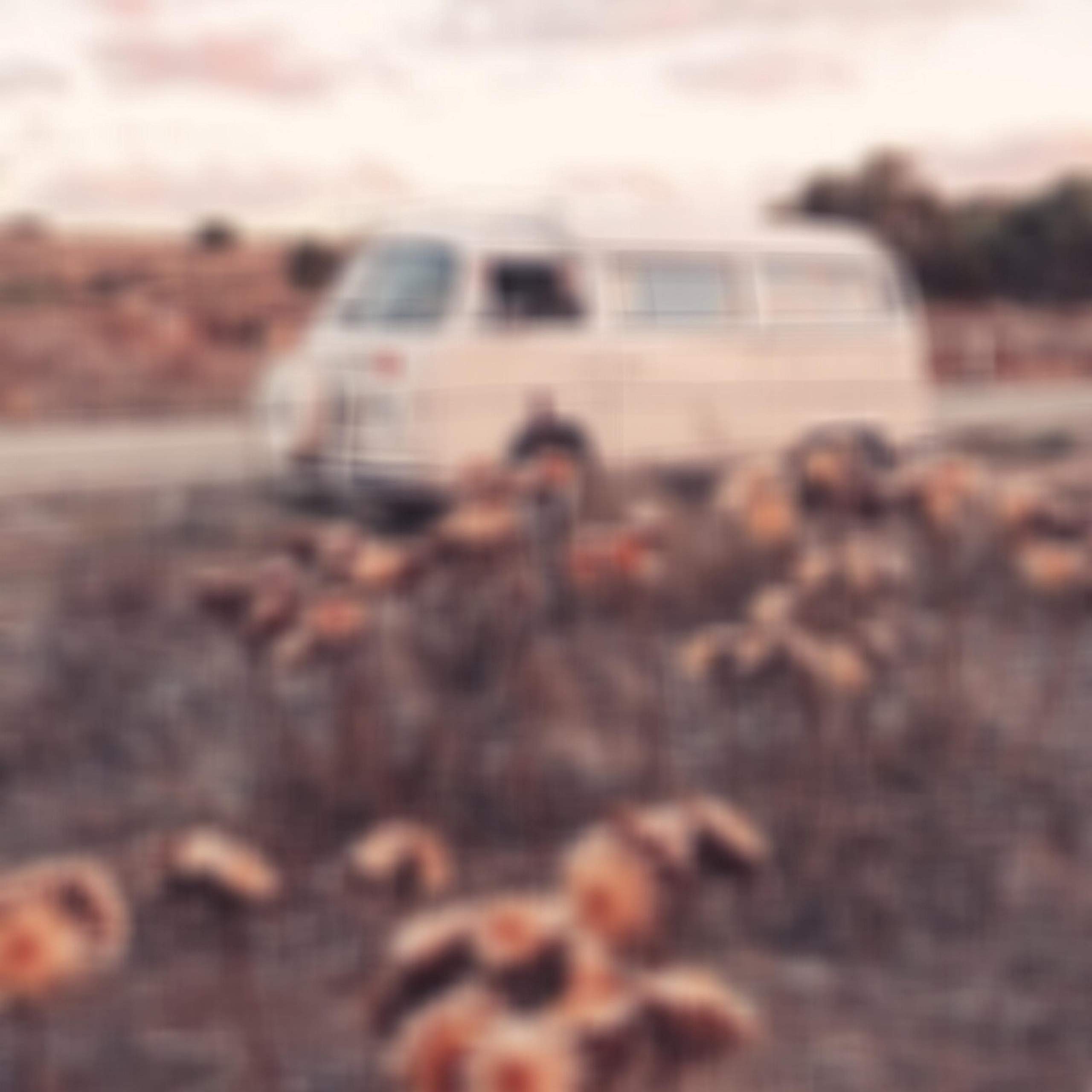 Mixed Feelings (feat. Luc Rushmere)