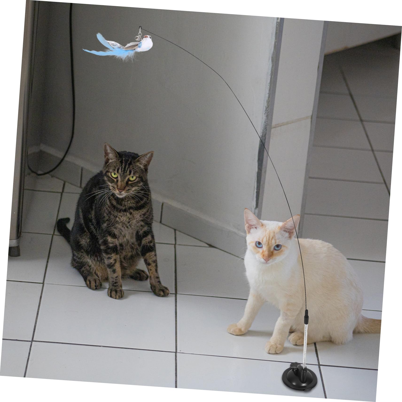 POPETPOP 5 Ensembles Suceur Chat Teaser Interactive Cat Toy Jouets pour Animaux de Compagnie Jouet pour Chat Jouets pour Chats bâtons de taquinerie pour Chaton de Chat Mignon la Plume