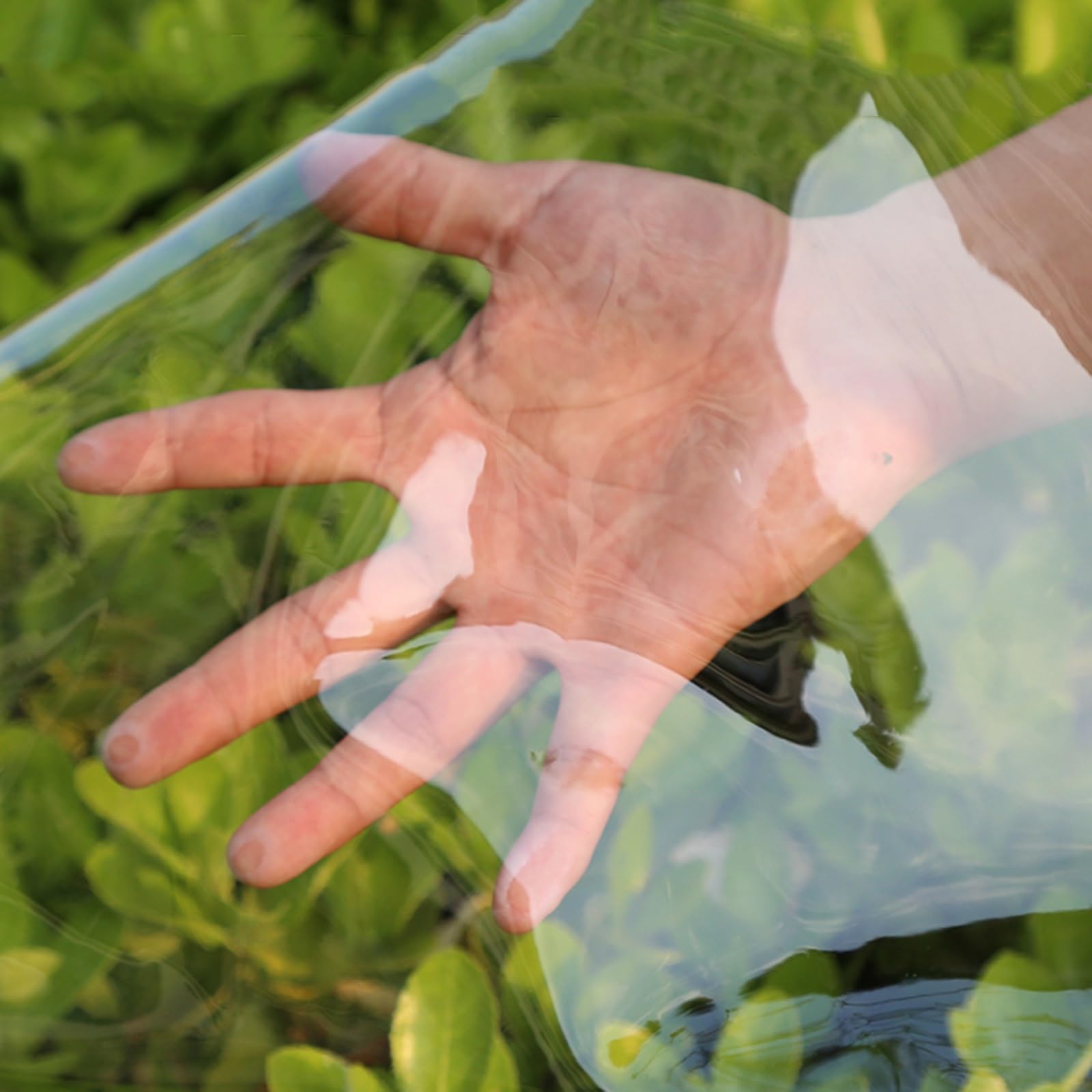 Transparent seitenwand mit Reißverschluss，Wasserdichter PVC Plane mit Reißverschluss，Pergola，Pavillon，Terrasse，Veranda，Carport，0,5mm Schwerlast wasserdichte Plane Mit Ösen ( Size : H2.1xW3m/H6.8xW9.8f
