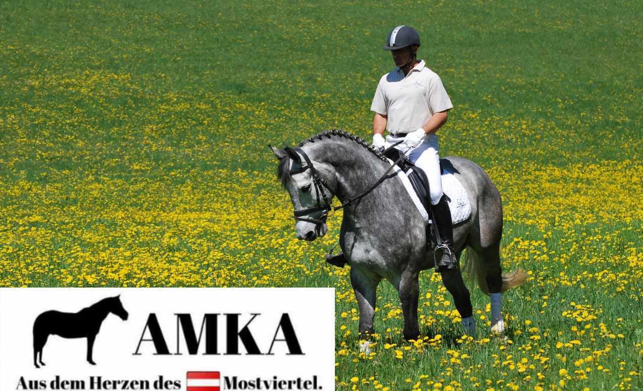AMKA Sicherheitssteigbügel mit Gelenk und 90 Grad gedrehter Öse