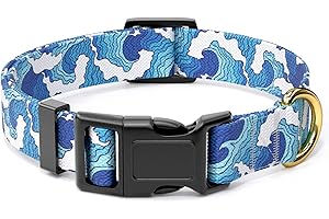 Intricately Engraved Rnivvi Dog Collar: The Epitome of Canine Comfort and Security