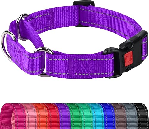 Joytale Collar Martingale para perros, reflectante resistente para mayor seguridad, hebilla de liberación rápida, collares de nailon ajustables para