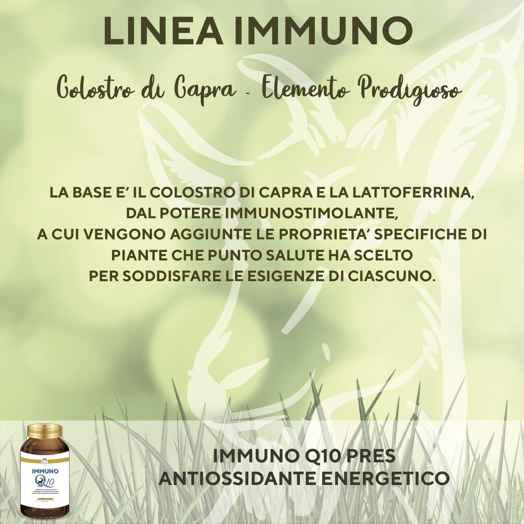 SEB - Immuno Q10 pres - Integratore alimentare di Coenzima Q10 ubidecarenone