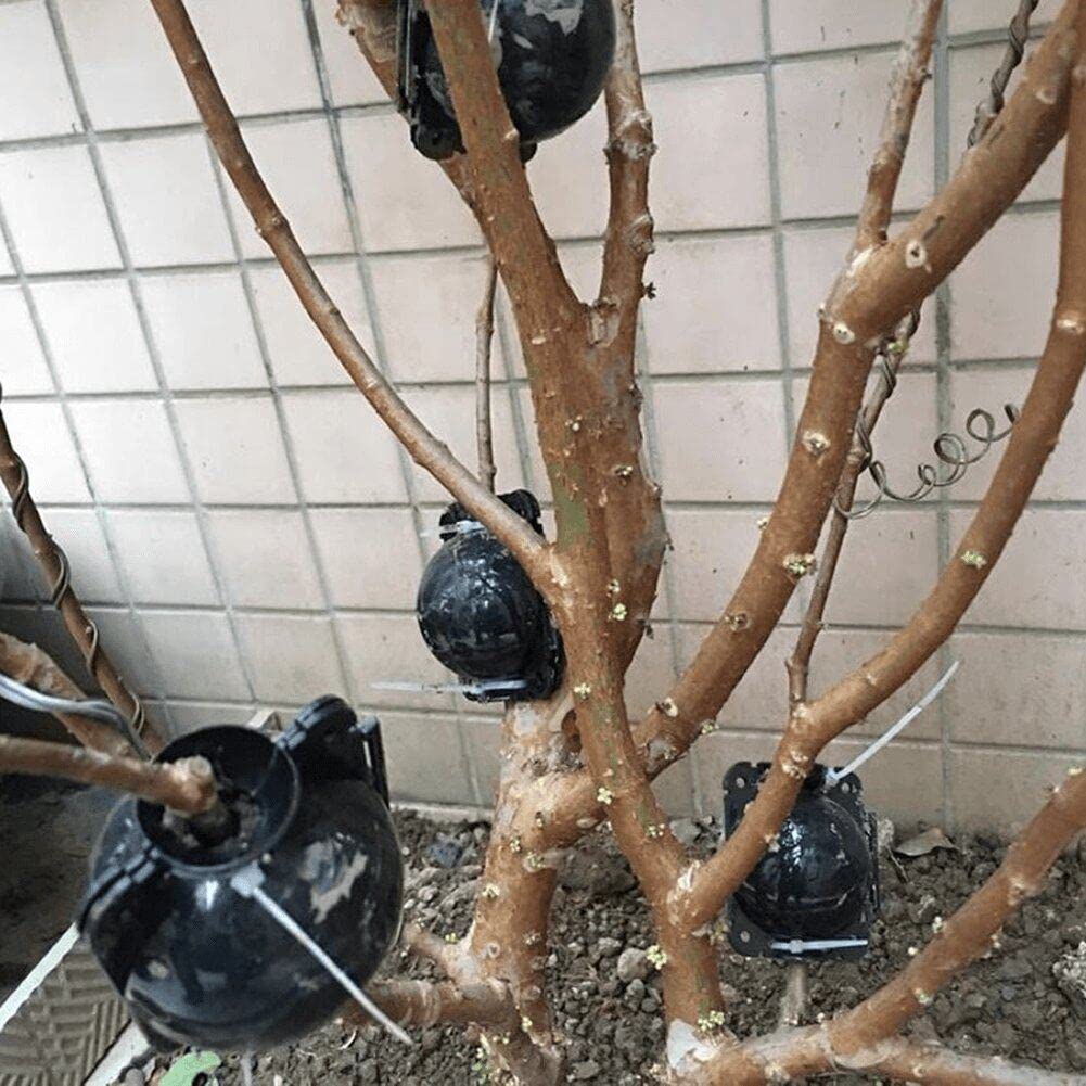 Wudaizhi 10pcs De Diamètre 5cm Plant Rocoing Équipement De Balle De Balle Haute Pression Propagation Case De Reproduction pour Le Camion De Jardin