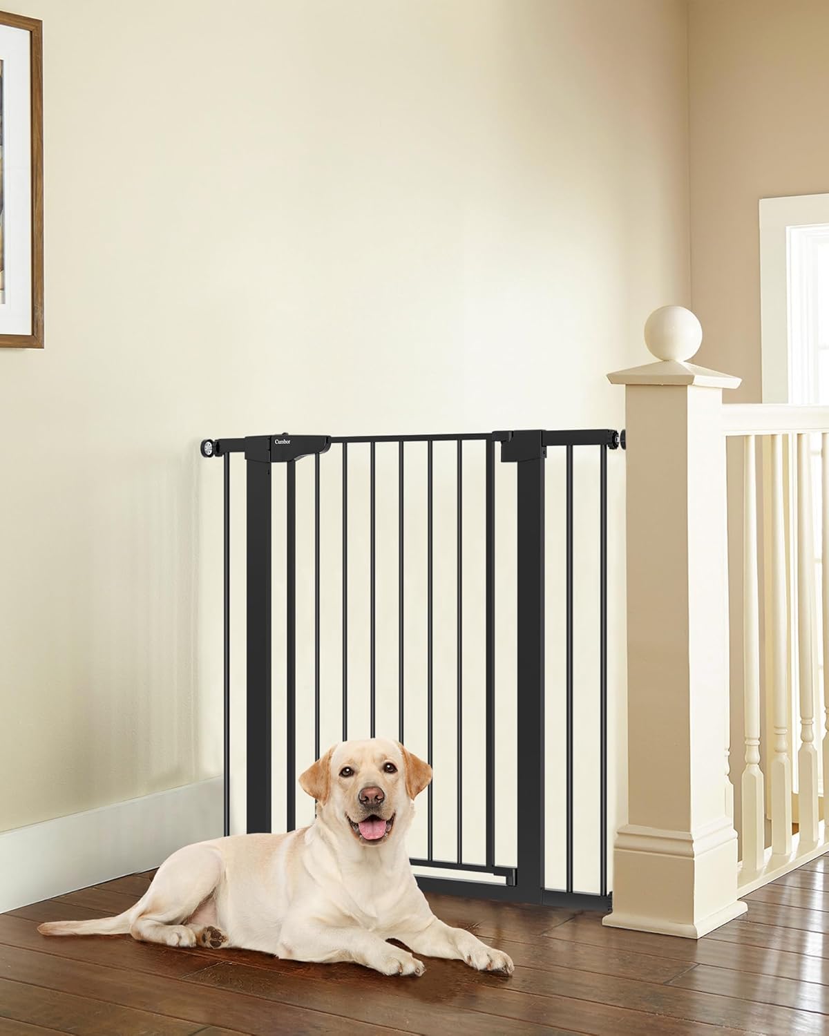 Cumbor 36" Extra Tall Baby Gate for Stairs, 29.7-40.6" Wide Dog Gate for Doorways, Pressure Mounted Auto-Close Pets Gates for Dogs Indoor, Durable Safety Child Gate, Mom's Choice Awards Winner, Black Black 29.7-40.6"W x 36"H