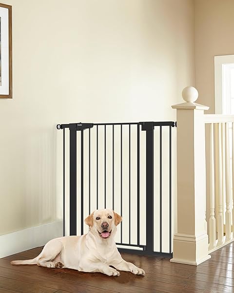 Cumbor 36" Extra Tall Baby Gate for Stairs, 29.7-40.6" Wide Dog Gate for Doorways, Pressure Mounted Auto-Close Pets Gates for Dogs Indoor, Durable Safety Child Gate, Mom's Choice Awards Winner, Black
