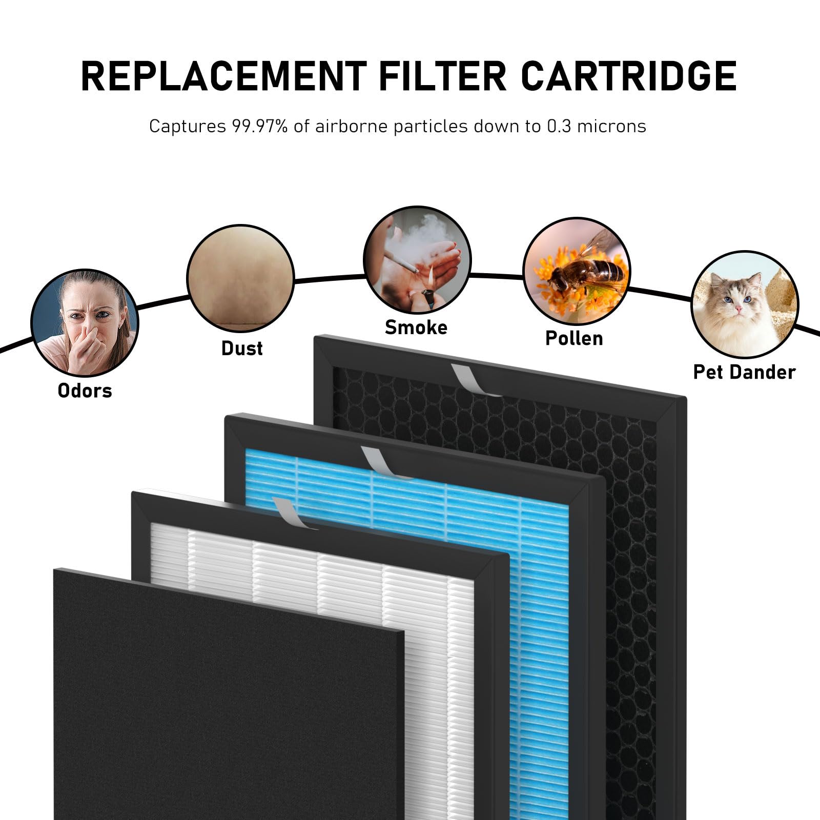https://m.media-amazon.com/images/I/714NJgG2S5L.jpg