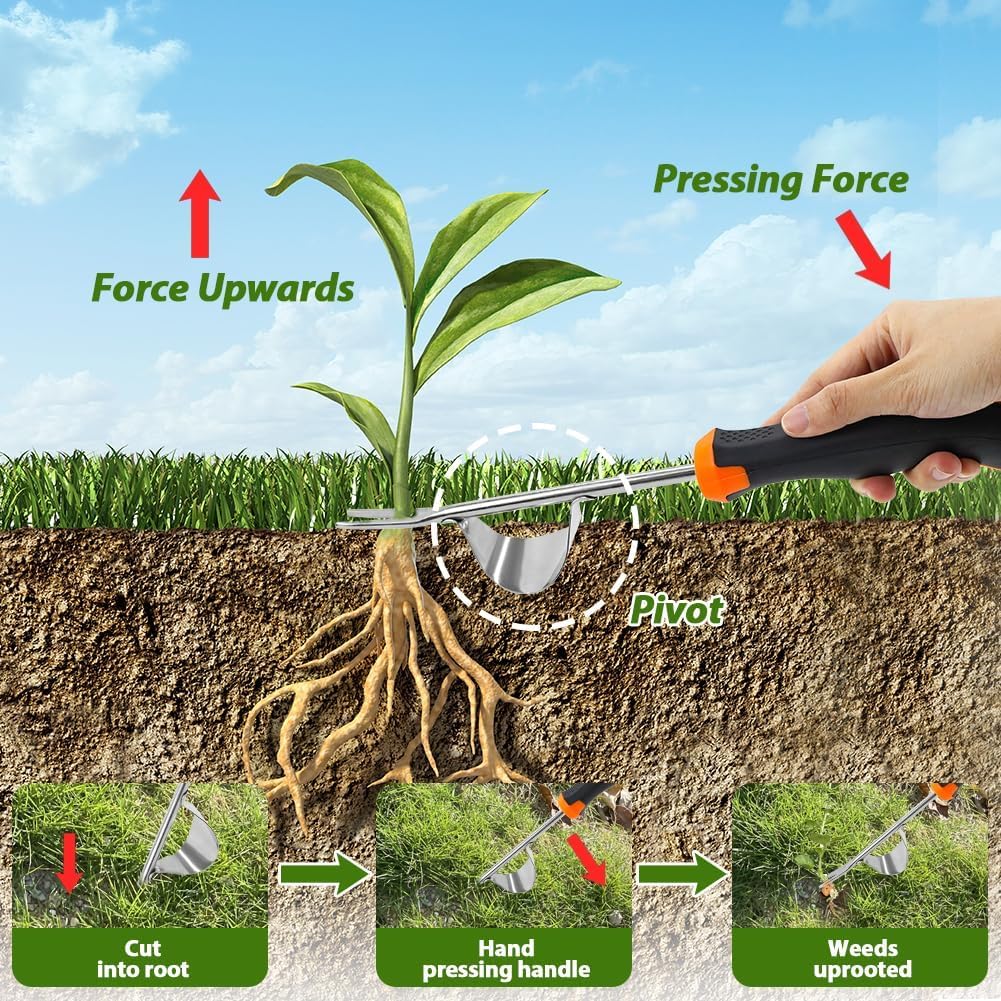 Freund Gerätehalter Set - 0,5m Schiene Mit 4 Haltern & 2 Haken