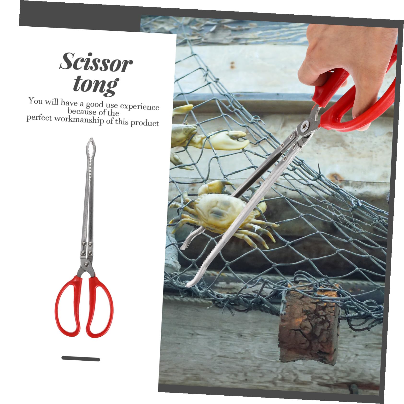 ERINGOGO Pince à Crabes Portable en Acier Inoxydable Manche Antidérapant, Outil Multifonction Pratique pour Attraper Poissons et Crabes en Milieu Aquatique
