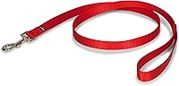 PetSafe Chew-Resistant Nylon Dog & Cat Leash, 3/4" x 4' Red - Padded Grip Training Lead for Easy-Walk Harness