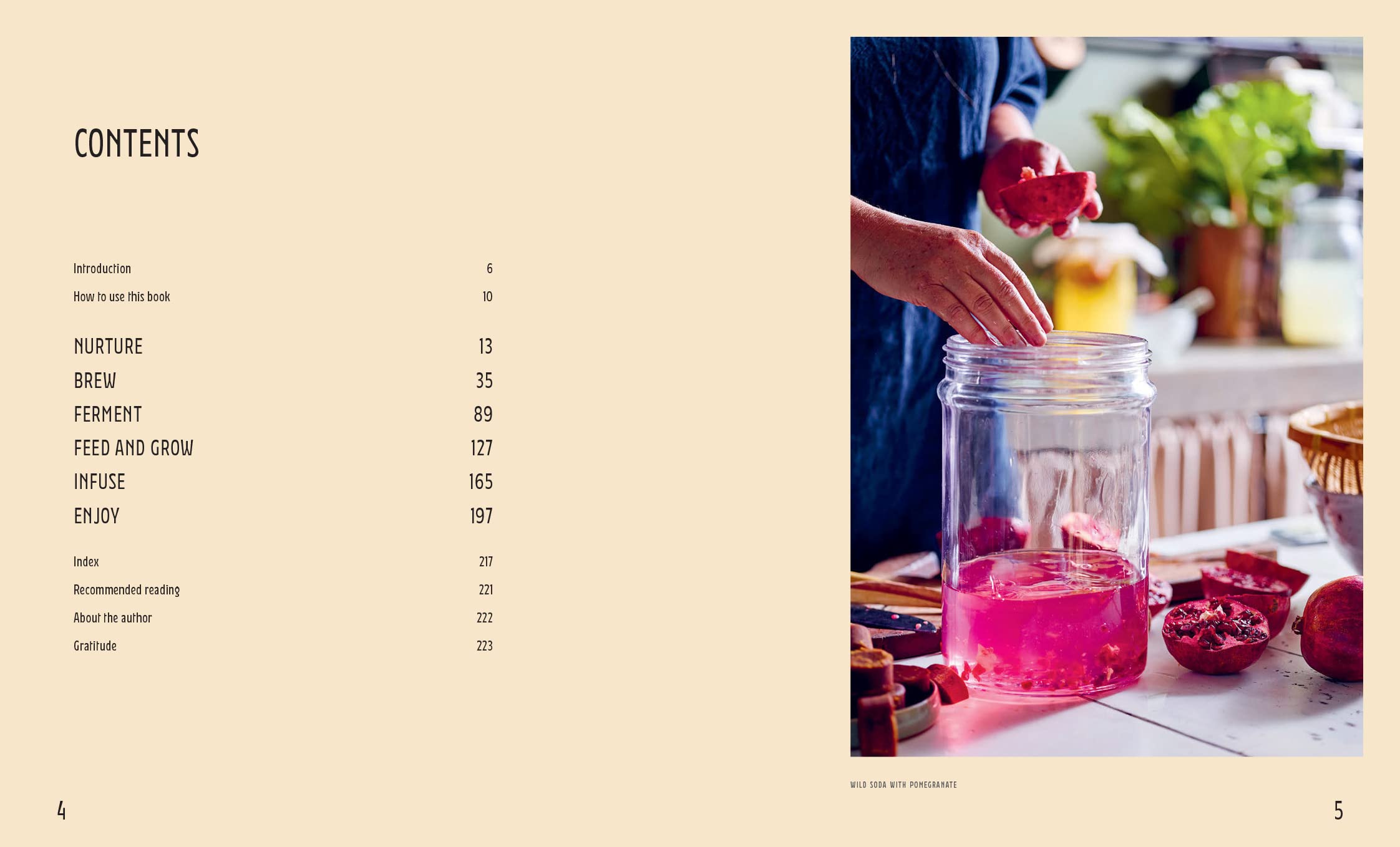Wild Drinks: The New Old World of Small-Batch Brews, Ferments and Infusions