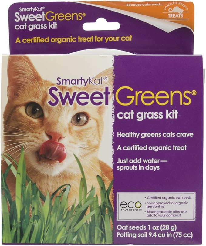 SmartyKat Sweet Greens Organic Oat Grass Cat Grass Grow